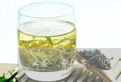 丑茶 普洱茶/2023042833202